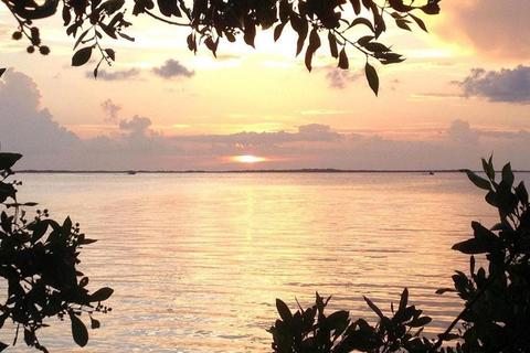 110 E Shore Dr, Key Largo, FL 33037 photo 58