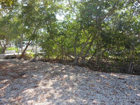 893 Ellen Dr, Key Largo, FL 33037 photo 7