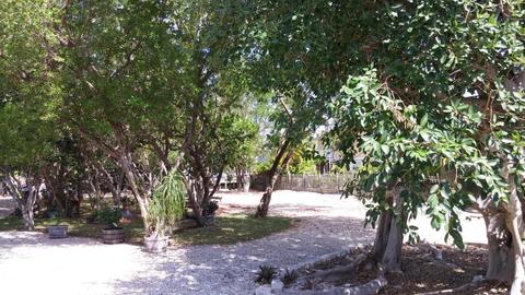 893 Ellen Dr, Key Largo, FL 33037 photo 14
