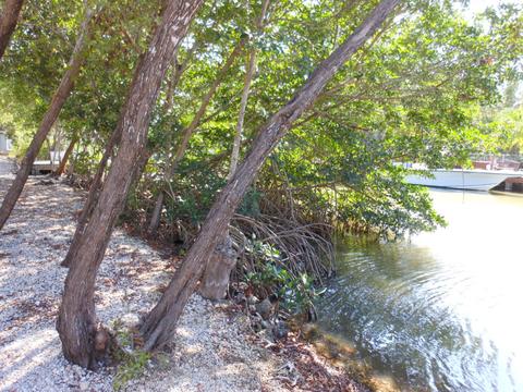 893 Ellen Dr, Key Largo, FL 33037 photo 16