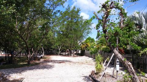 893 Ellen Dr, Key Largo, FL 33037 photo 3