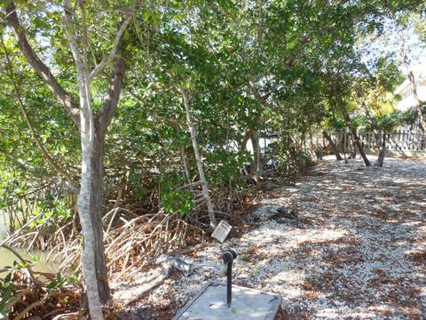 893 Ellen Dr, Key Largo, FL 33037 photo 9