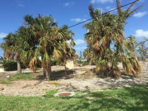 97 Avenue E, Marathon, FL 33050 photo 1
