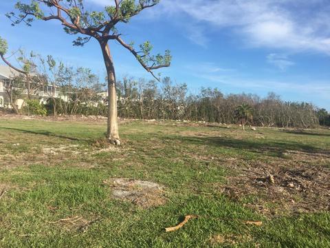 134 Coco Plum Dr, Marathon, FL 33050 photo 3