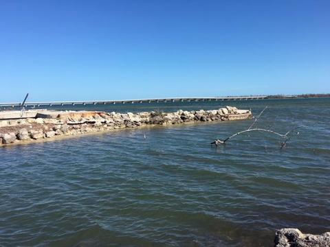 1553 Bogie Dr, Big Pine Key, FL 33043 photo 17