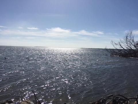 1553 Bogie Dr, Big Pine Key, FL 33043 photo 23