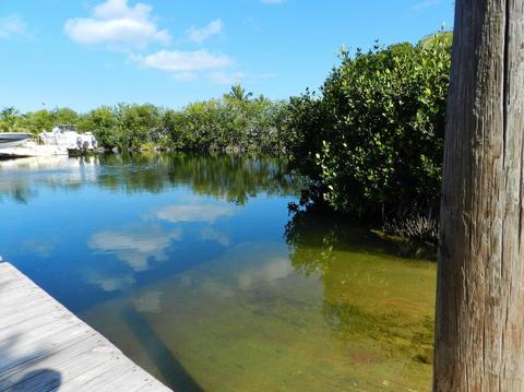 5 Mockingbird Rd, Key Largo, FL 33037 photo 4