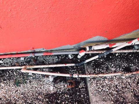 175 Harbor Dr, Key Largo, FL 33037 photo 7
