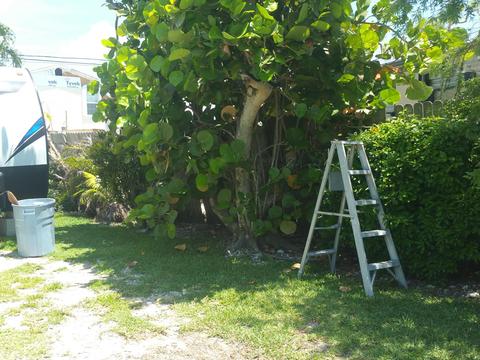 31059 Ave G, Big Pine Key, FL 33043 photo 6