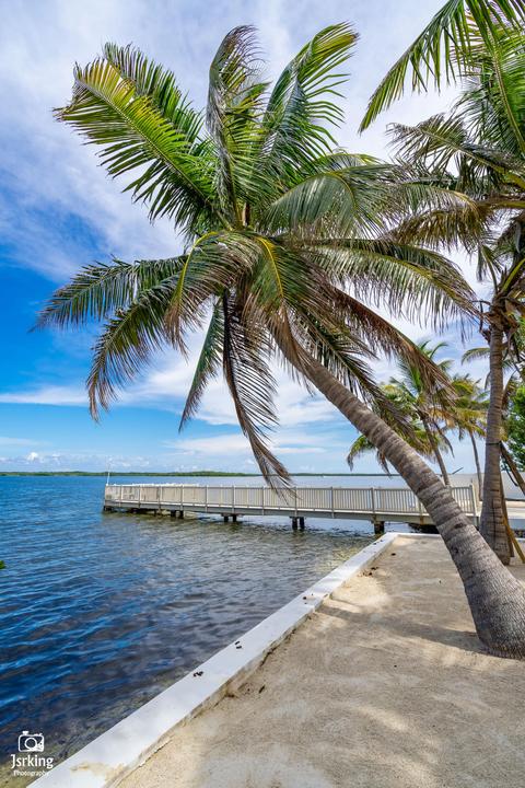 72 Bonefish Ave, Key Largo, FL 33037 photo 18