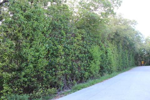 7 Gale Pl, Key Largo, FL 33037 photo 1
