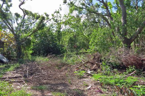 3 Bowen Dr, Key Largo, FL 33037 photo 13