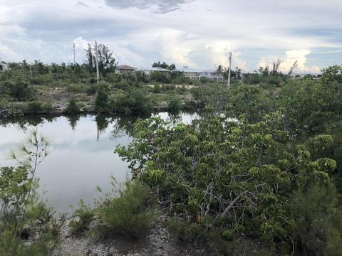 169 Pelican Ln, Big Pine Key, FL 33043 photo 5