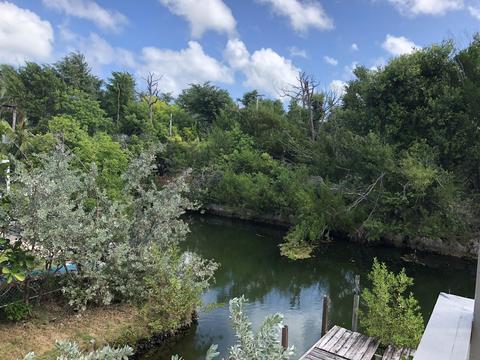 1663 Fern Ave, Big Pine Key, FL 33043 photo 12