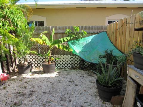 467 Sunset Dr, Key Largo, FL 33037 photo 18