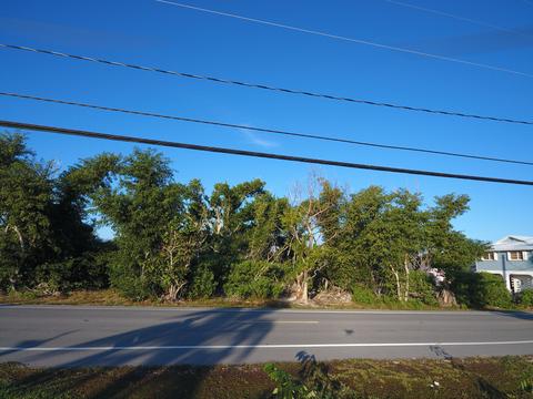 30421 Palm Dr, Big Pine Key, FL 33043 photo 7