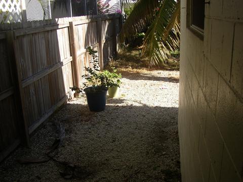 6 Sunset Rd, Key Largo, FL 33037 photo 16