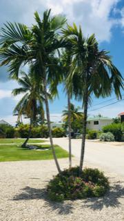 1112 Copa D Oro, Marathon, FL 33050 photo 32