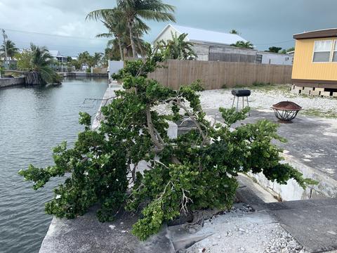 258 Mars Ln, Key West, FL 33040 photo 9