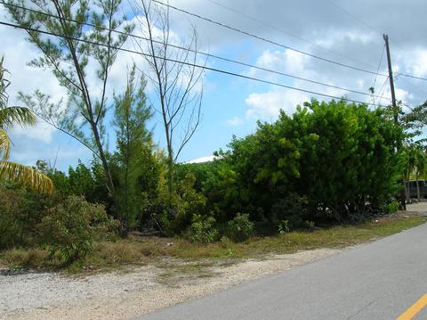 29669 Ranger Ave, Big Pine Key, FL 33043 photo 2