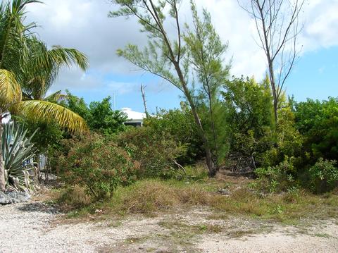 29669 Ranger Ave, Big Pine Key, FL 33043 photo 1