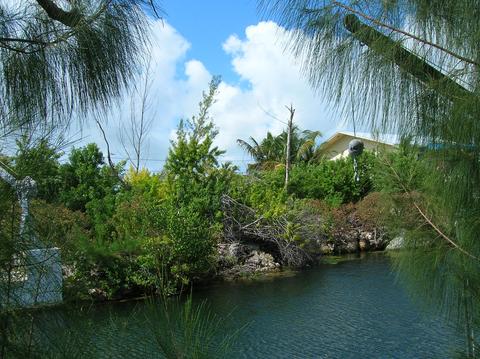 29669 Ranger Ave, Big Pine Key, FL 33043 photo 9