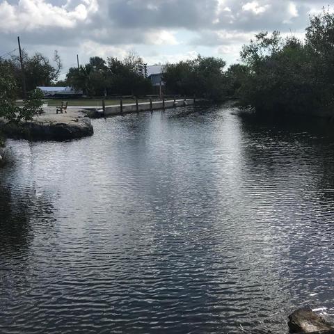 1660 Hellenga Dr, Big Pine, FL 33043 photo 4