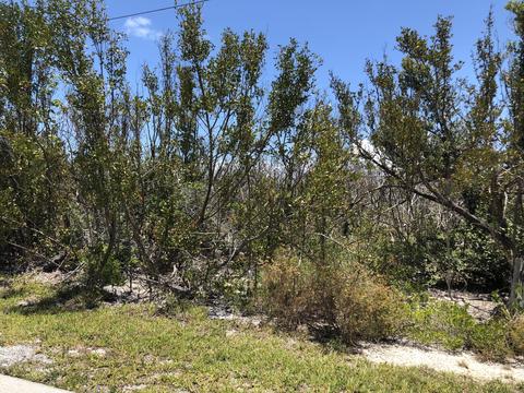2355 Coco Plum Dr, Marathon, FL 33050 photo 1