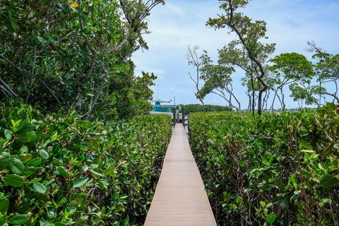 45 Mutiny Pl, Key Largo, FL 33037 photo 42