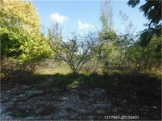 29631 Enterprise Ave, Big Pine Key, FL 33043 photo 4