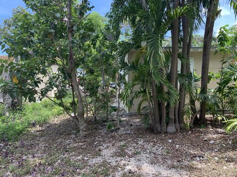 57 Hibiscus Ln, Key Largo, FL 33037 photo 11