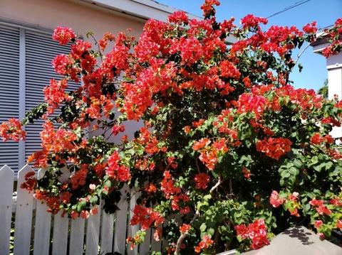 2422 Staples Ave, Key West, FL 33040 photo 7