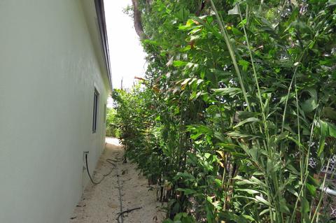7 Cindy Pl, Key Largo, FL 33037 photo 31