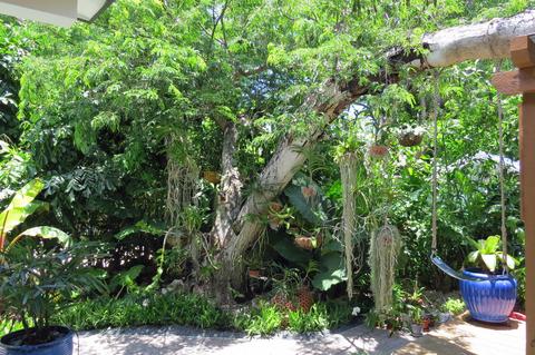 7 Cindy Pl, Key Largo, FL 33037 photo 30