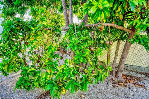 25 Mockingbird Rd, Key Largo, FL 33037 photo 30