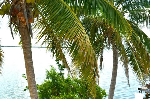 17 E Circle Dr #A, Key West, FL 33040 photo 6