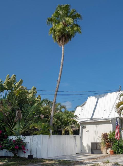 3321 Eagle Ave, Key West, FL 33040 photo 33