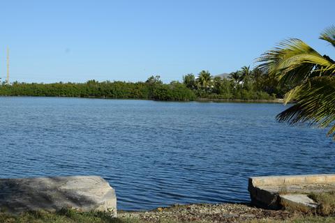 12 Beach Dr, Saddlebunch, FL 33040 photo 11