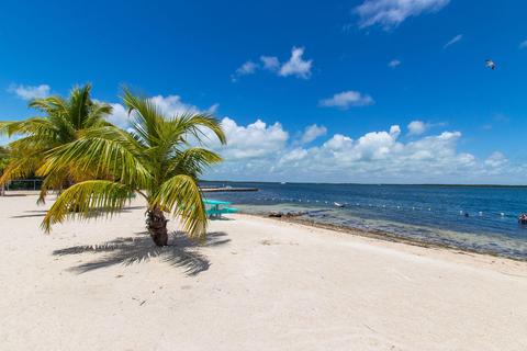 59 Avenue E, Key Largo, FL 33037 photo 33