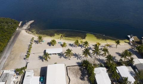 191 Buttonwood Ave, Key Largo, FL 33037 photo 6
