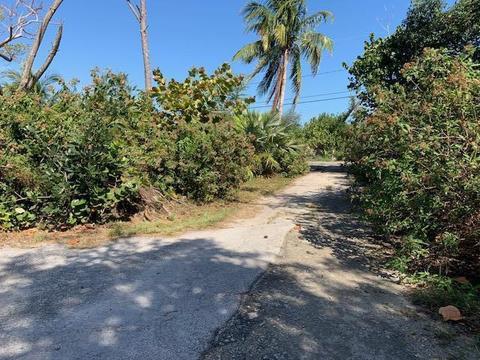 660 Ixora Dr, Big Pine Key, FL 33043 photo 31