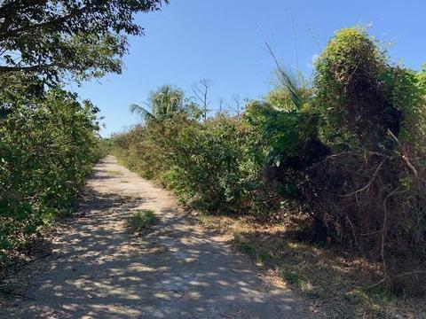 660 Ixora Dr, Big Pine Key, FL 33043 photo 29