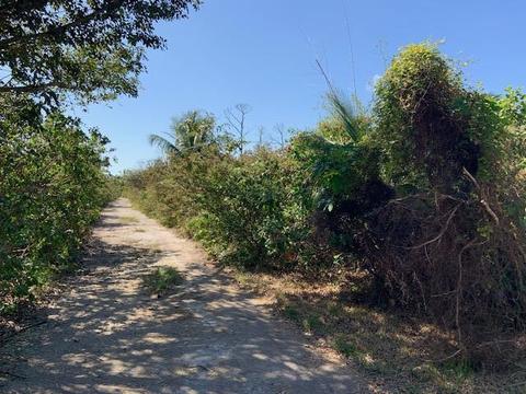 660 Ixora Dr, Big Pine Key, FL 33043 photo 30