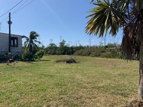 660 Ixora Dr, Big Pine Key, FL 33043 photo 28