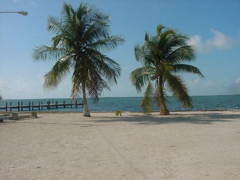 44 Orange Dr, Key Largo, FL 33037 photo 20