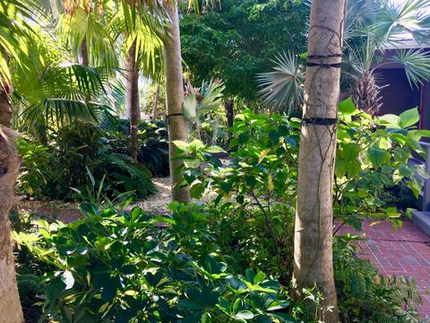 3531 Eagle Ave, Key West, FL 33040 photo 17
