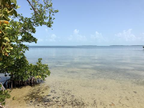 2 Pine Ave, Key Largo, FL 33037 photo 28