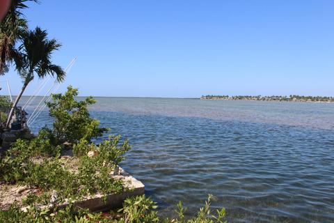 26 Beach Dr, Saddlebunch, FL 33040 photo 5