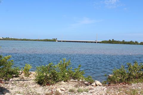 26 Beach Dr, Saddlebunch, FL 33040 photo 3