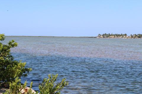 26 Beach Dr, Saddlebunch, FL 33040 photo 7